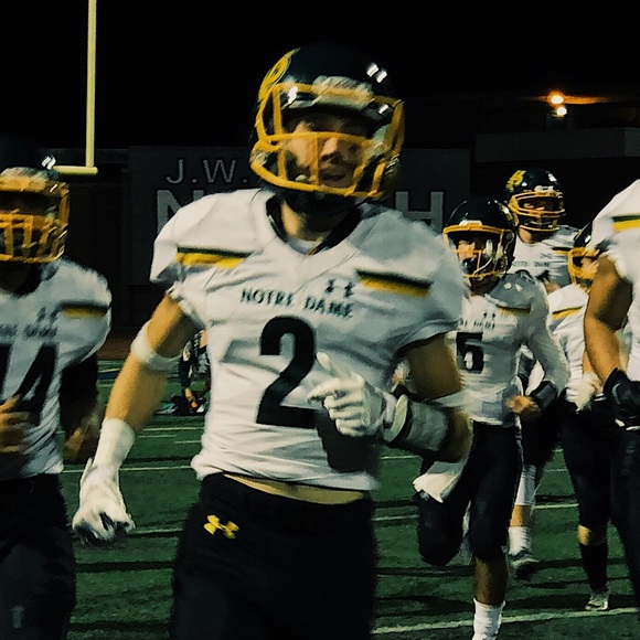 Meet your Posher, Sebastian - Picture 1 of 1